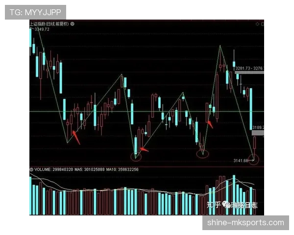 纽卡斯尔联争四形势面临考验，竞争格局持续调整影响赛季走势